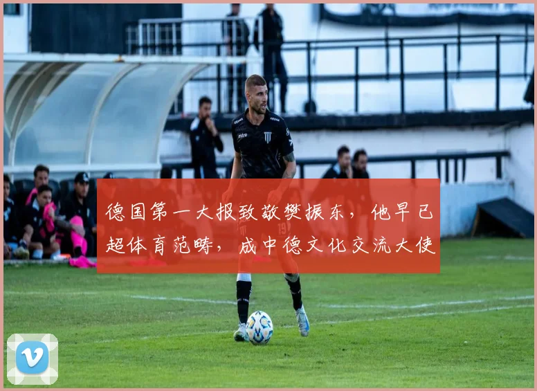 德国第一大报致敬樊振东,他早已超体育范畴,成中德文化交流大使