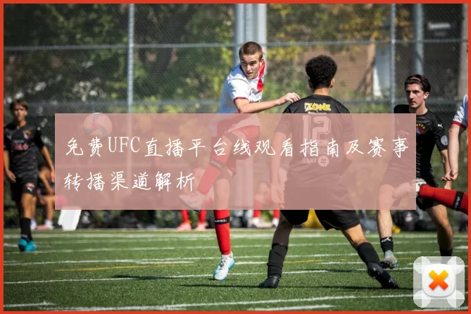 免费UFC直播平台线观看指南及赛事转播渠道解析