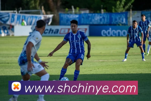 环球体育平台官网平台生态图