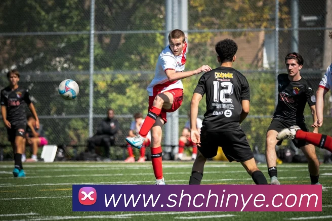 环球体育平台官网APP 封面图